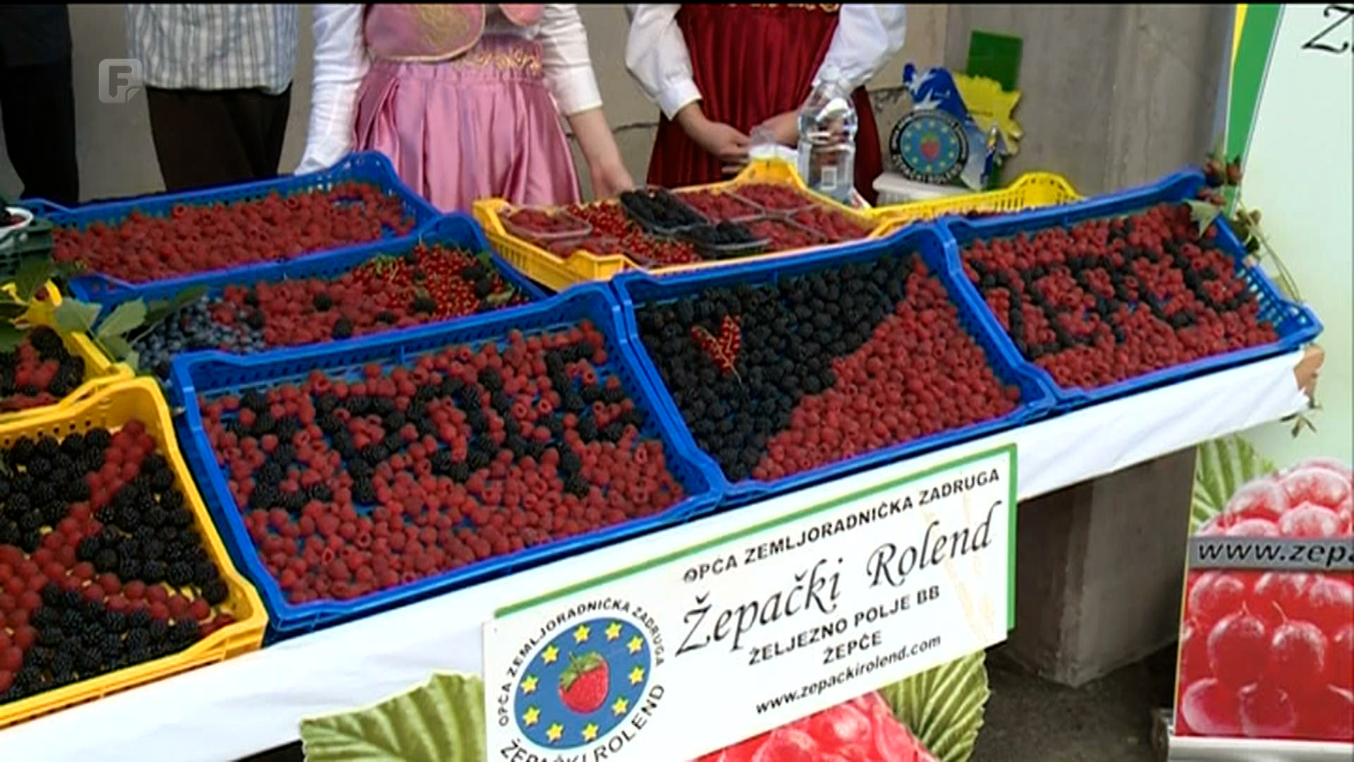 Malinarstvo u Željeznom Polju kod Žepča ponovo je u zamahu